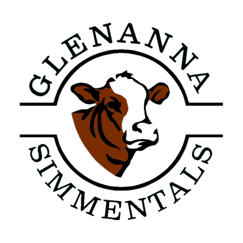 glenanna black (3) copy